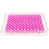 front view of a 96 well multiwell cell culture plate