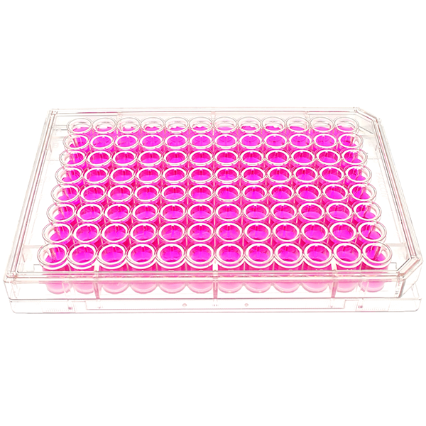 Featured image of post Cell Culture Plate Cartoon When the dendritic cell presents an antigen to the