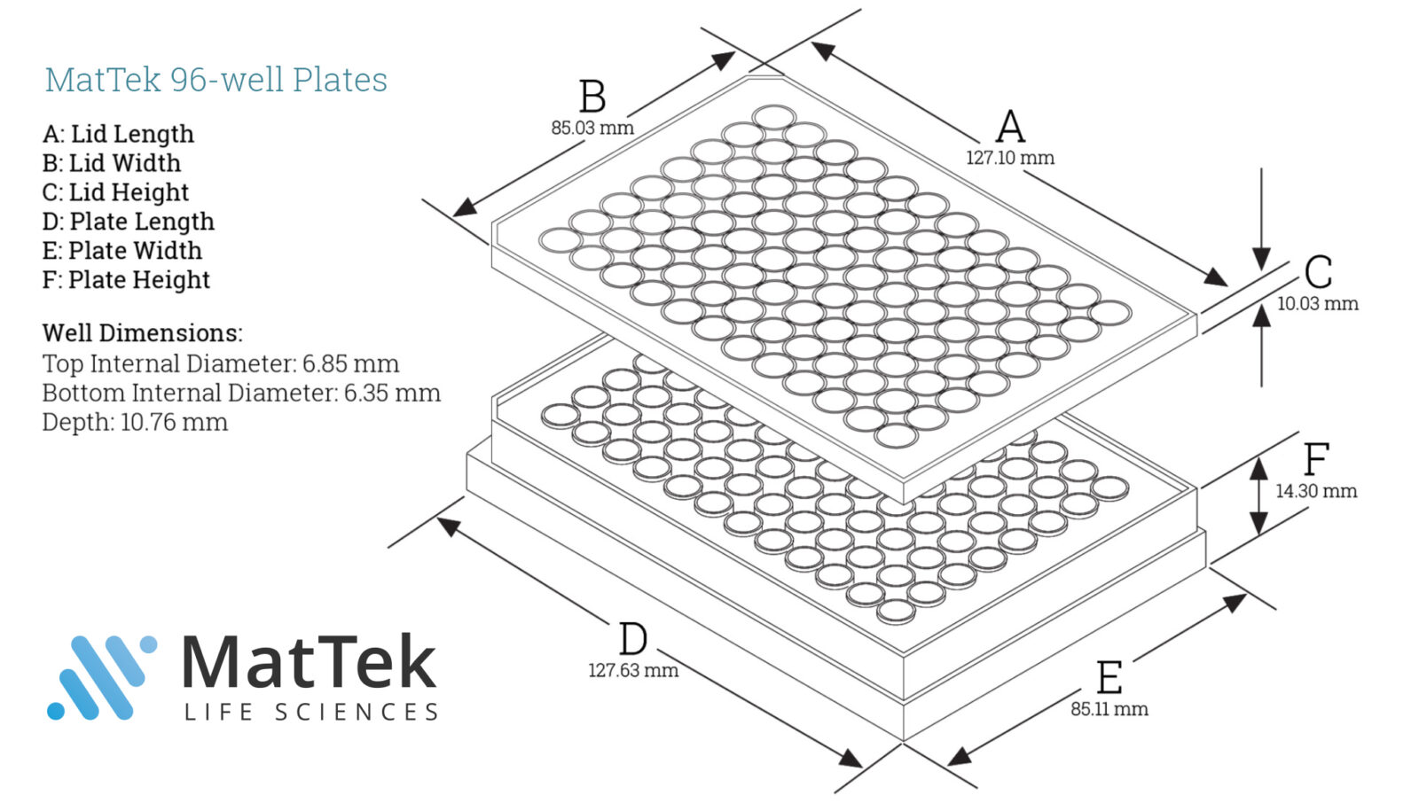 96 Well Plate Size Printable Online