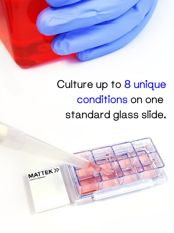 MatTek Chambered Cell Culture Slides: A Versatile Tool for Visualizing Cell Behavior