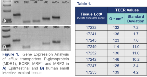 DD Figure 1 (1)