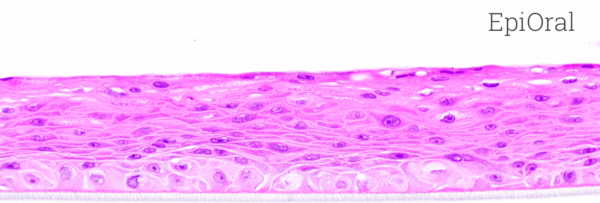 EpiOral Histoloy New