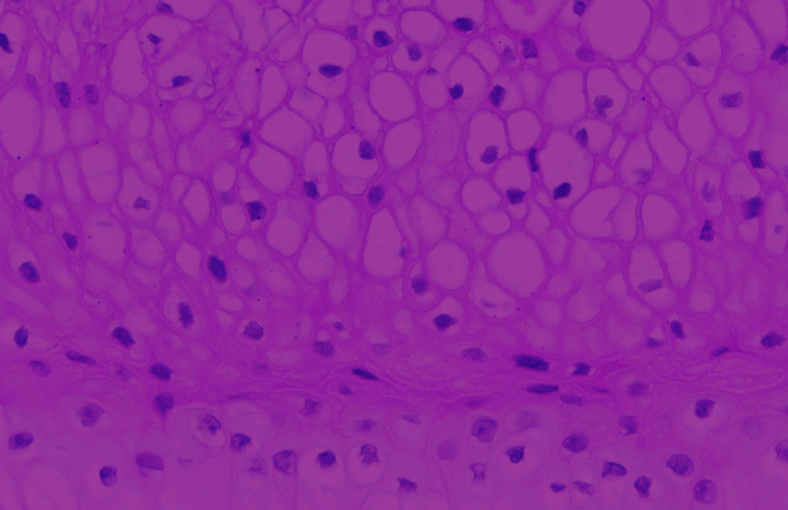 EpiVaginal™