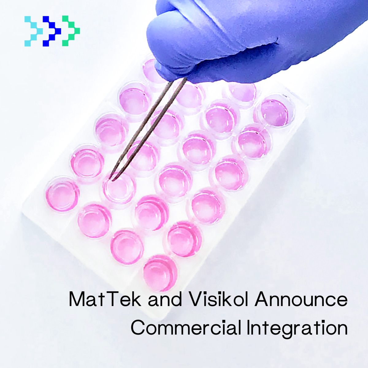 MatTek and Visikol Announce Commercial Integration