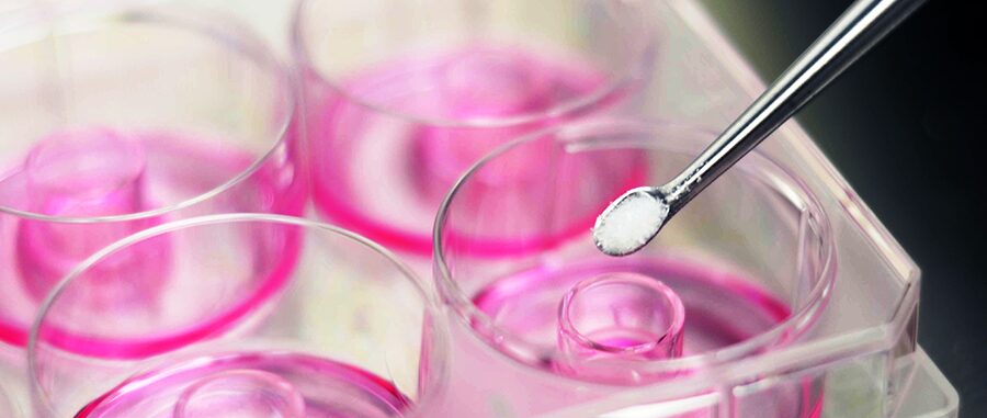 dosing tissue inserts in a cell culture plate