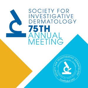 SID 2016 Annual Meeting logo