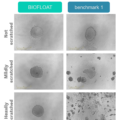 ULA_Biofloat-plate_faCellitate