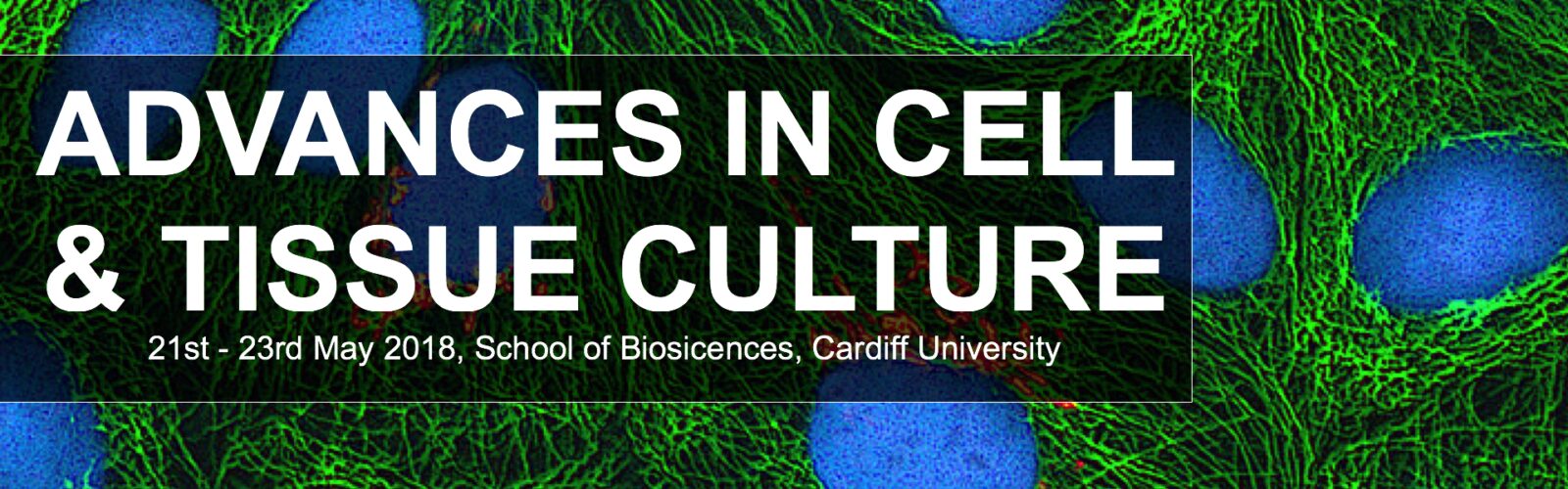 ACTC 2018 banner header image